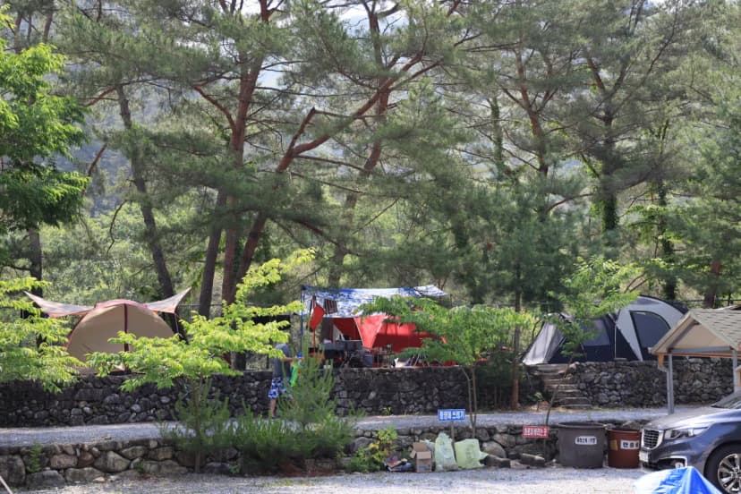 내리계곡 솔바람 캠핑장 사진 7