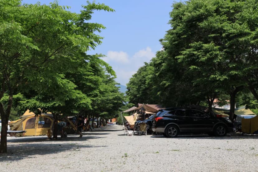 내리계곡 솔바람 캠핑장 사진 9
