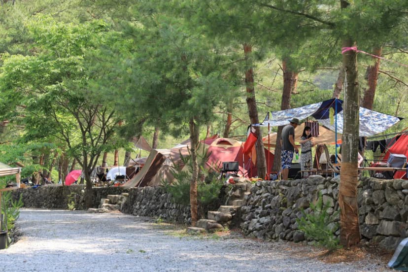 내리계곡 솔바람 캠핑장 사진 10