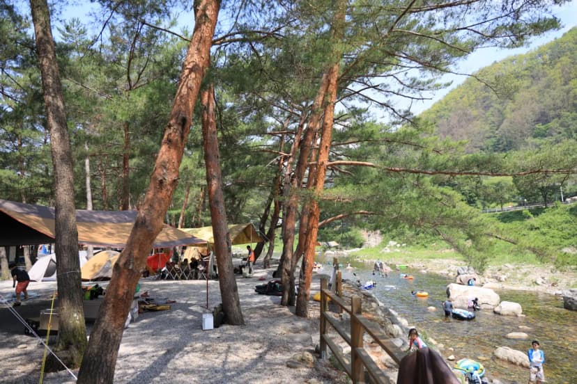 내리계곡 솔바람 캠핑장 사진 13