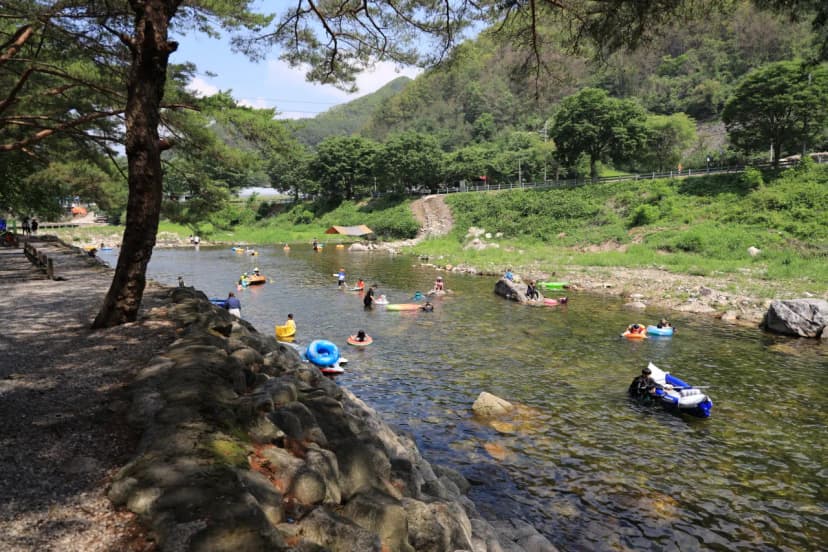 내리계곡 솔바람 캠핑장 사진 14