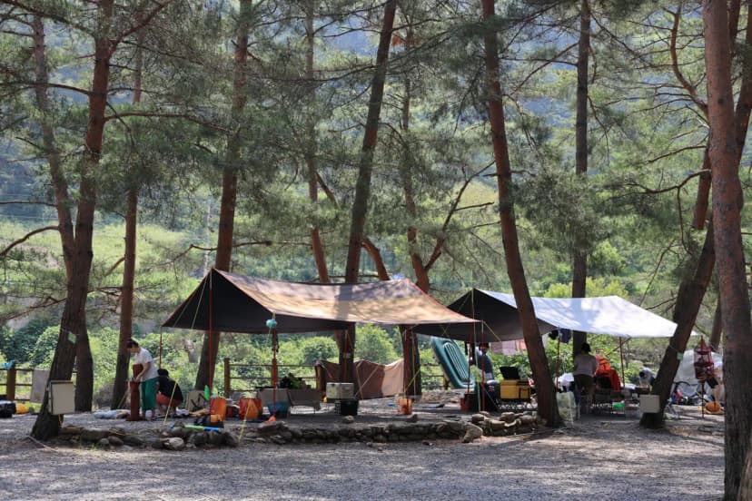 내리계곡 솔바람 캠핑장 사진 15