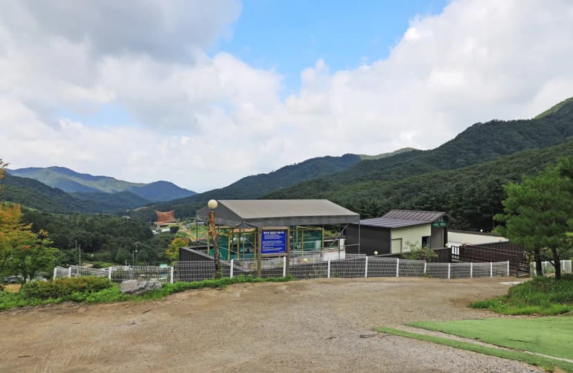 해자연캠핑장 사진 8