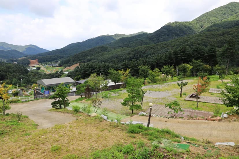 해자연캠핑장 사진 11