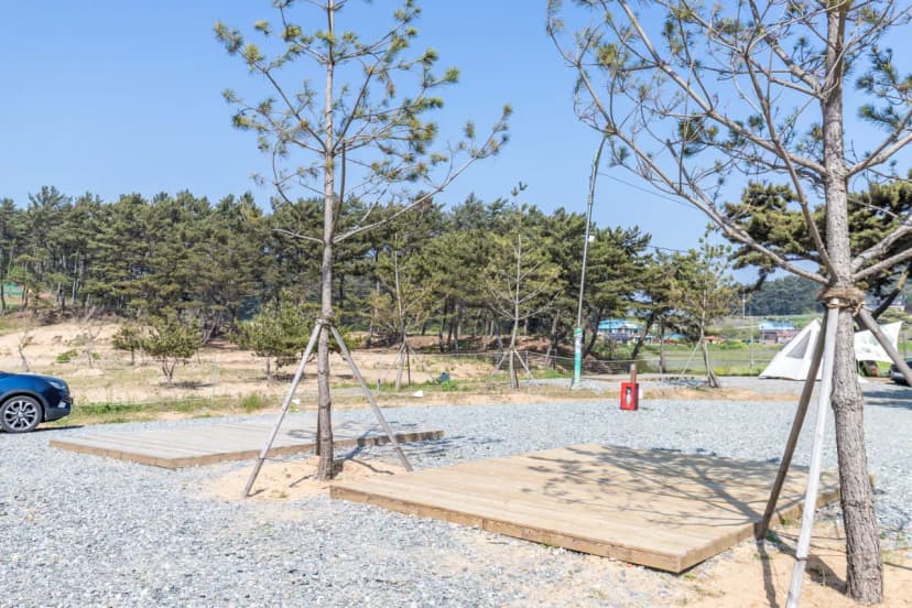 사목힐링캠프 태안캠핑농원 사진 4
