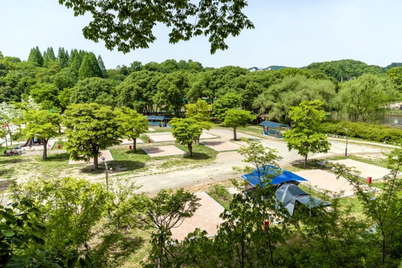 독립기념관 캠핑장 사진 4