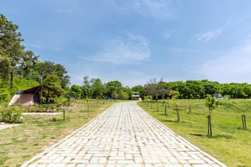독립기념관 캠핑장 사진 12