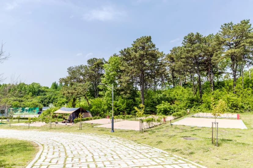 독립기념관 캠핑장 사진 13