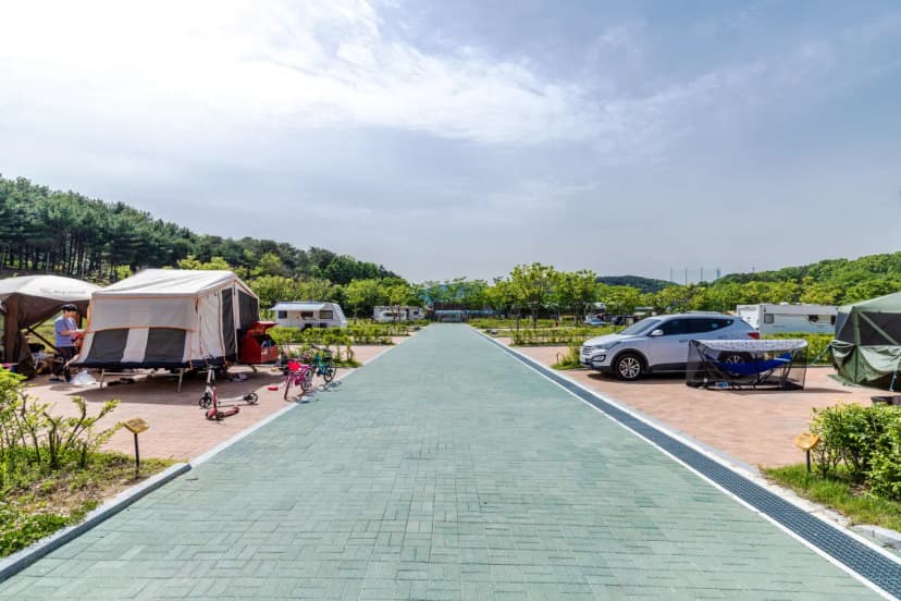 독립기념관 캠핑장 사진 15