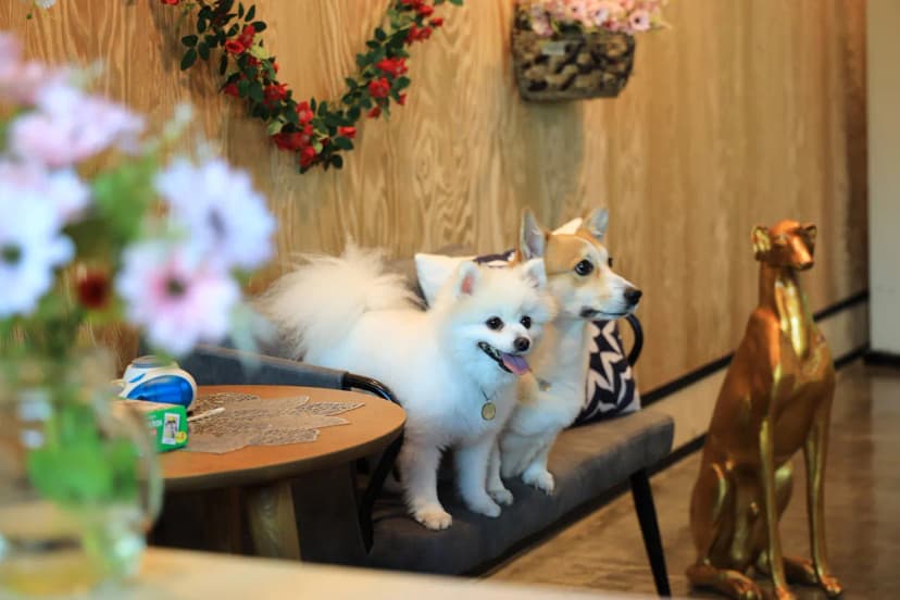 물동네 힐링 야영장 사진 10