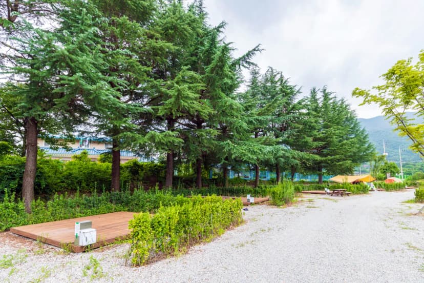 상주 감꽃마을 서울캠핑장 사진 12