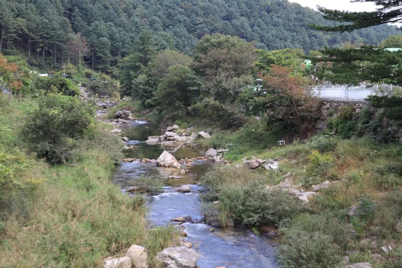 캠프스테이 사진 6