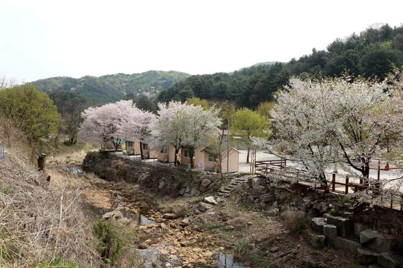 깊이울관광농원(깊이울 캠핑장) 사진 19