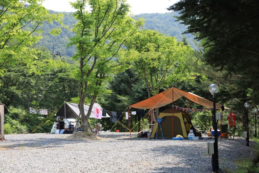 월드니스 오토캠핑장 사진 9