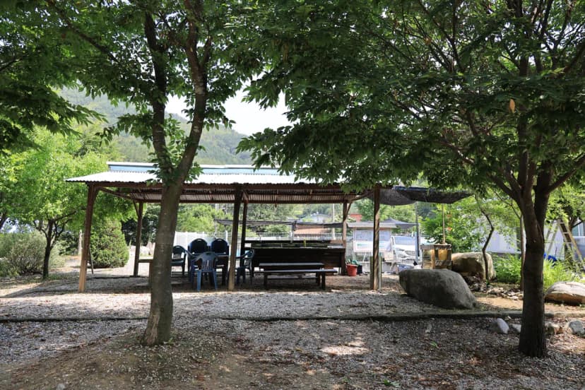 외룡송어회 캠핑장 사진 7