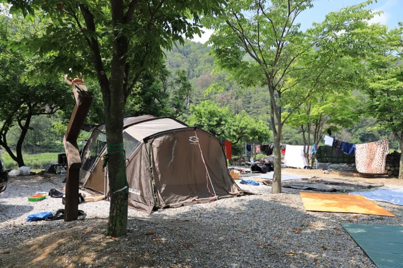 외룡송어회 캠핑장 사진 11