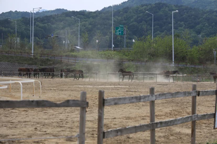 명파 해변 오토캠핑장 사진 14