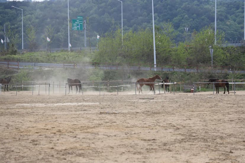 명파 해변 오토캠핑장 사진 15