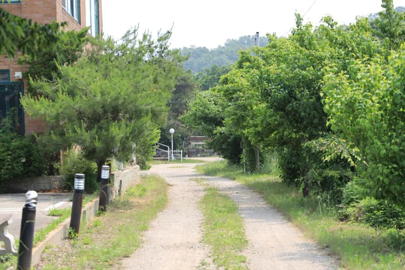 황산도캠핑장 사진 7