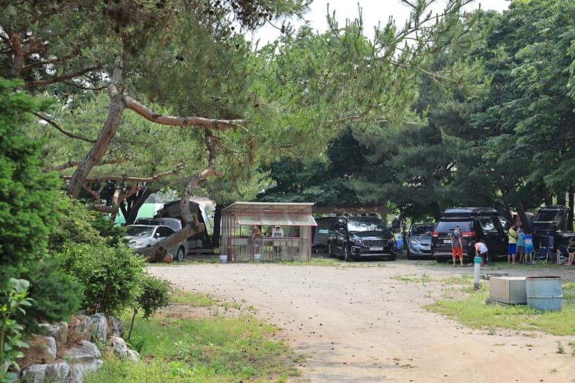 황산도캠핑장 사진 10