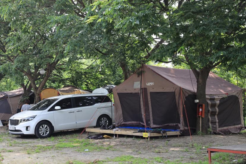 황산도캠핑장 사진 11