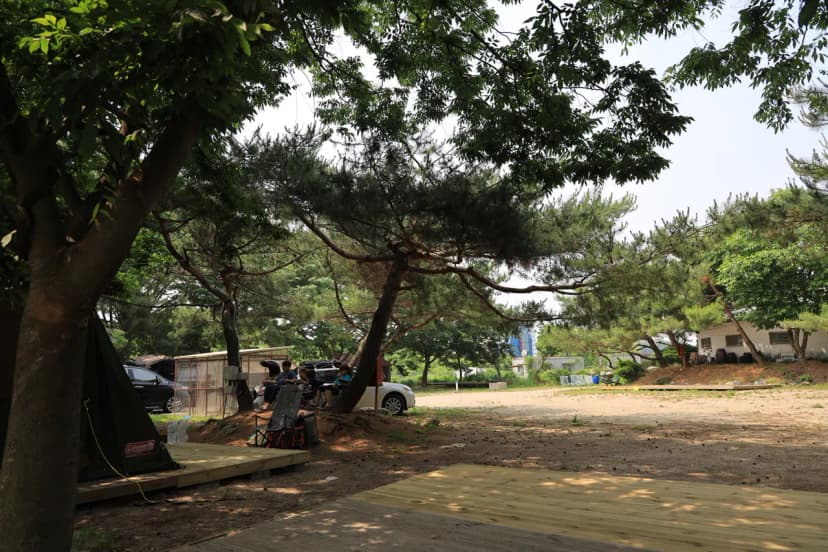 황산도캠핑장 사진 15