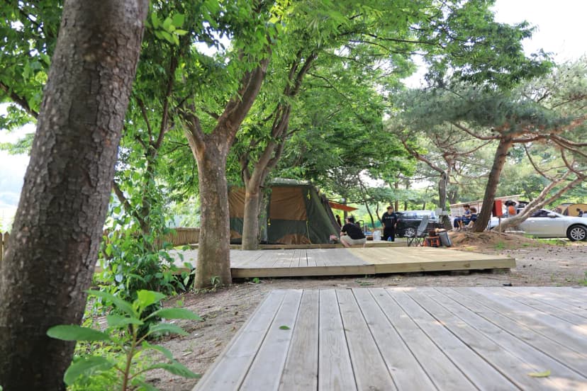 황산도캠핑장 사진 17