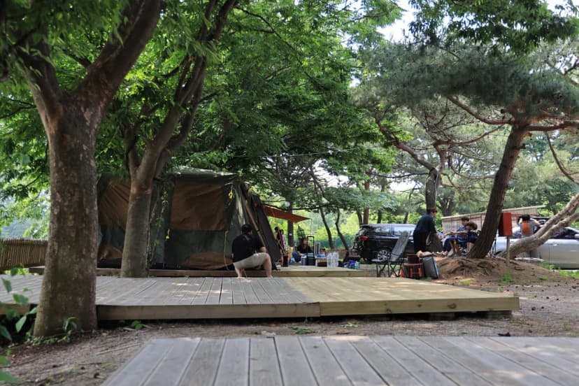황산도캠핑장 사진 18