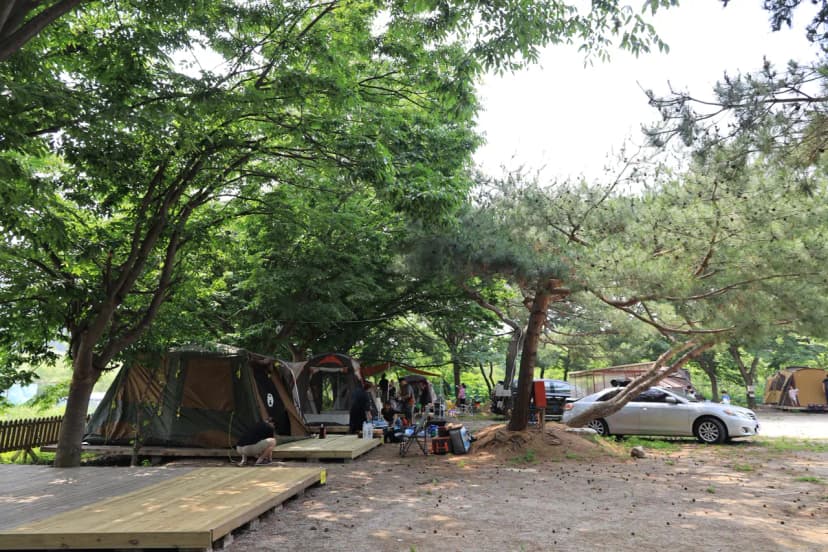 황산도캠핑장 사진 20
