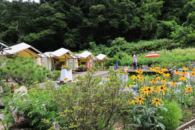 산유리캠핑장 사진 5