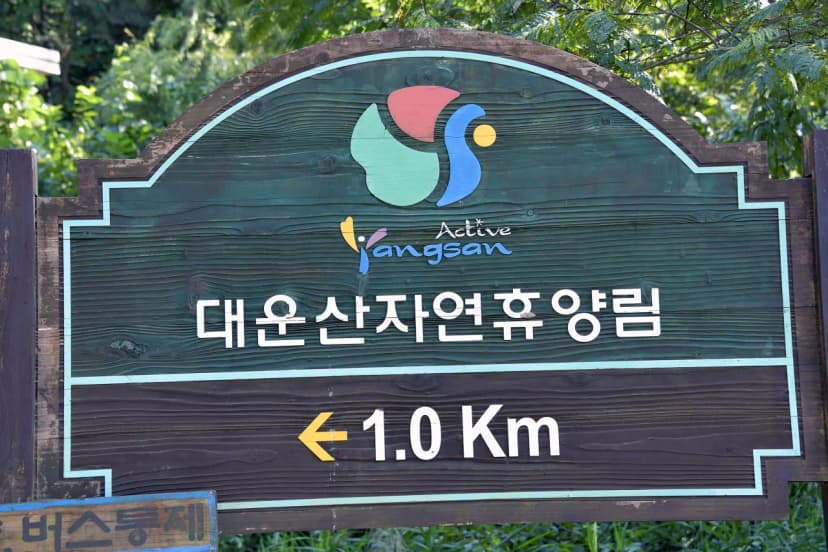 대운산자연휴양림 야영장 사진 9