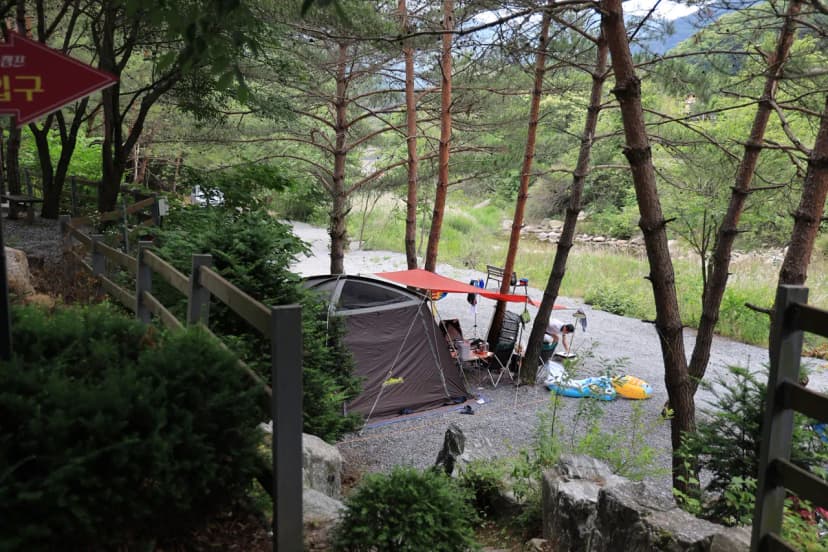 파라다이스캠프 사진 4