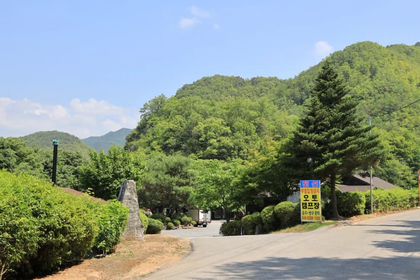 동양원목캠핑장 사진 5