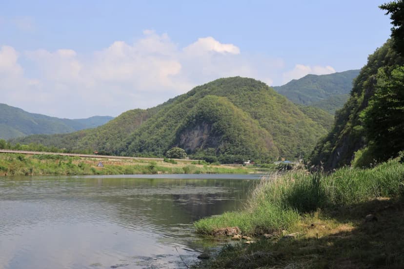 동양원목캠핑장 사진 12