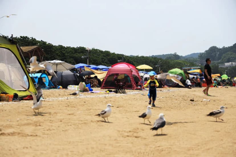 십리포해수욕장 야영장 사진 4