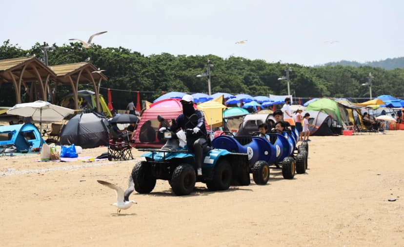 십리포해수욕장 야영장 사진 5