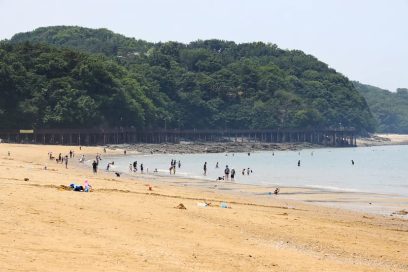 십리포해수욕장 야영장 사진 14