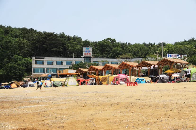 십리포해수욕장 야영장 사진 16