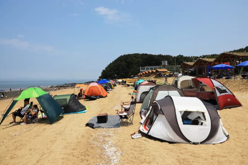 십리포해수욕장 야영장 사진 17