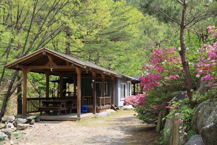 꿈꾸는 계곡 야영장 사진 7