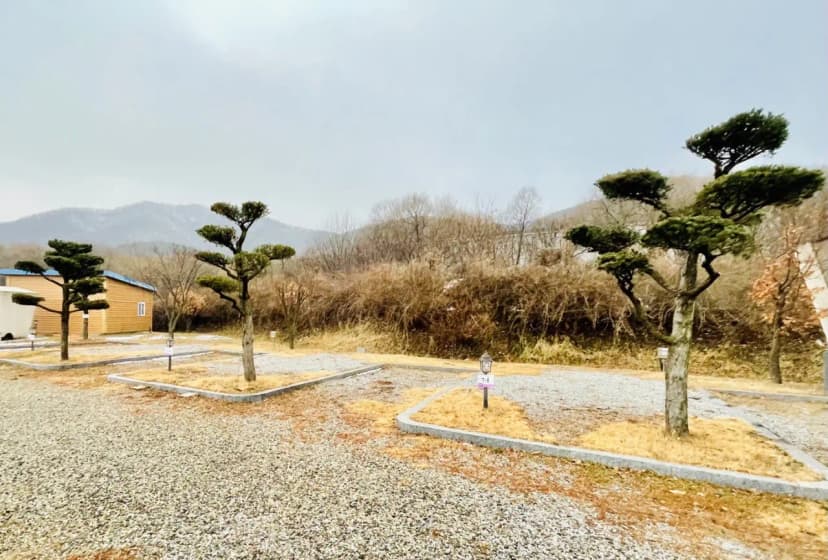 용인 대장금파크 캠핑장 사진 6