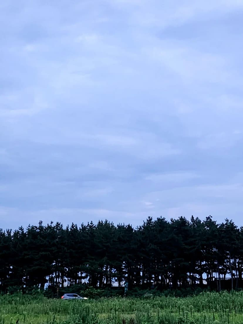 공현진1리 해변 야영장