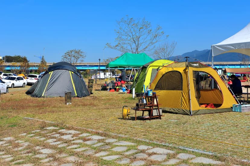 대저생태공원캠핑장 사진 21