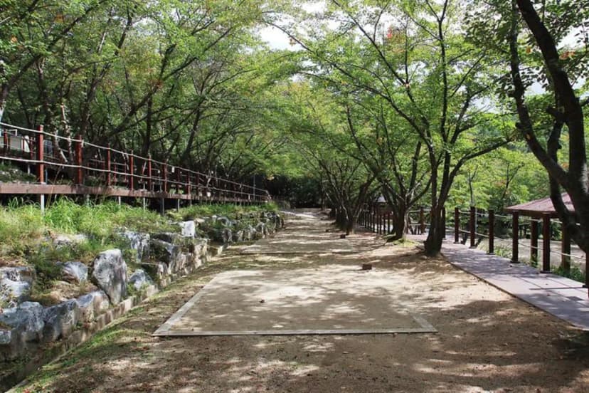 팔공산 국립공원 가산산성 야영장 사진 2