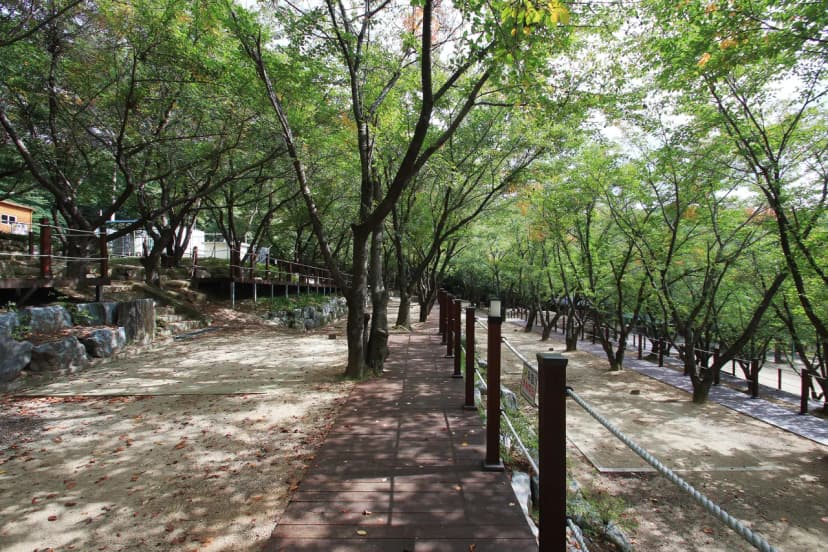 팔공산 국립공원 가산산성 야영장 사진 3