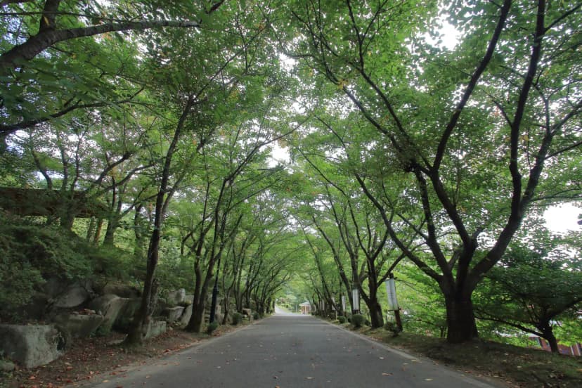 팔공산 국립공원 가산산성 야영장 사진 5