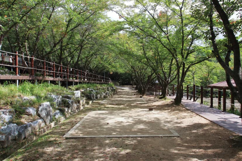 팔공산 국립공원 가산산성 야영장 사진 17