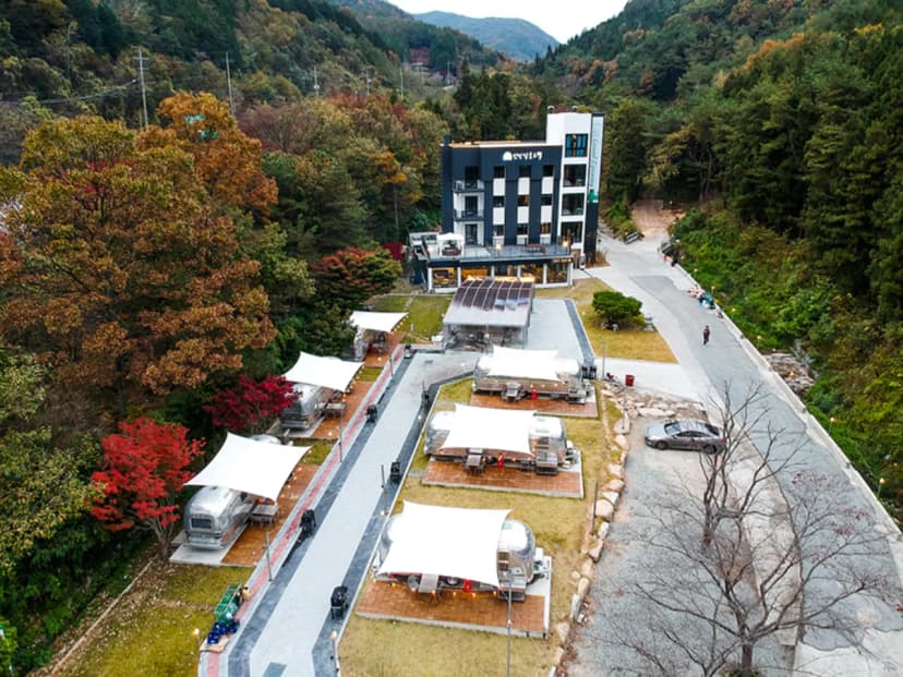 선인장 사진 3