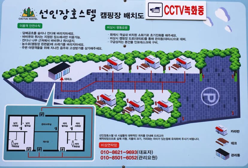 선인장 사진 7