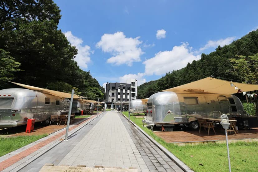 선인장 사진 10